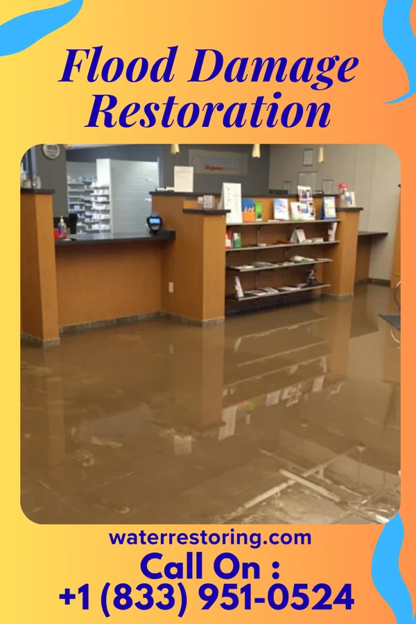 Flood Damage Restoration in Gravois Mills, MO