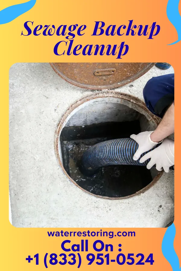 Sewage Backup Cleanup in Gravois Mills, MO