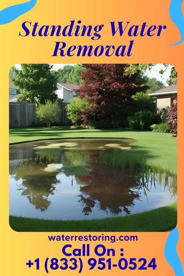 Standing Water Removal in Gravois Mills, MO